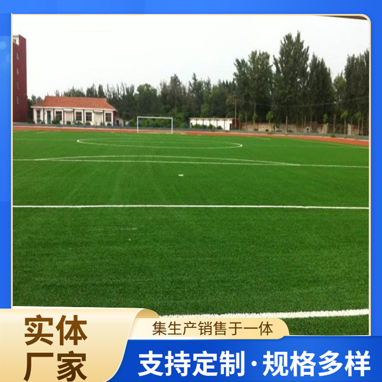 亳州市橡胶跑道人造草坪 - 哪里好